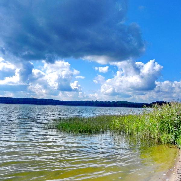 Озеро, деревня Лоша