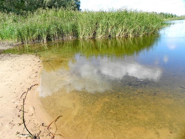 Беред озера Рудня