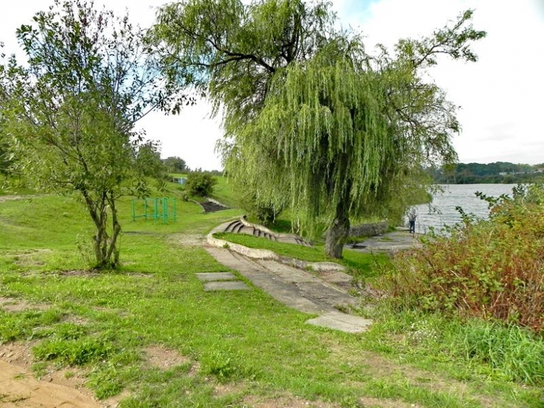 Ива на берегу реки