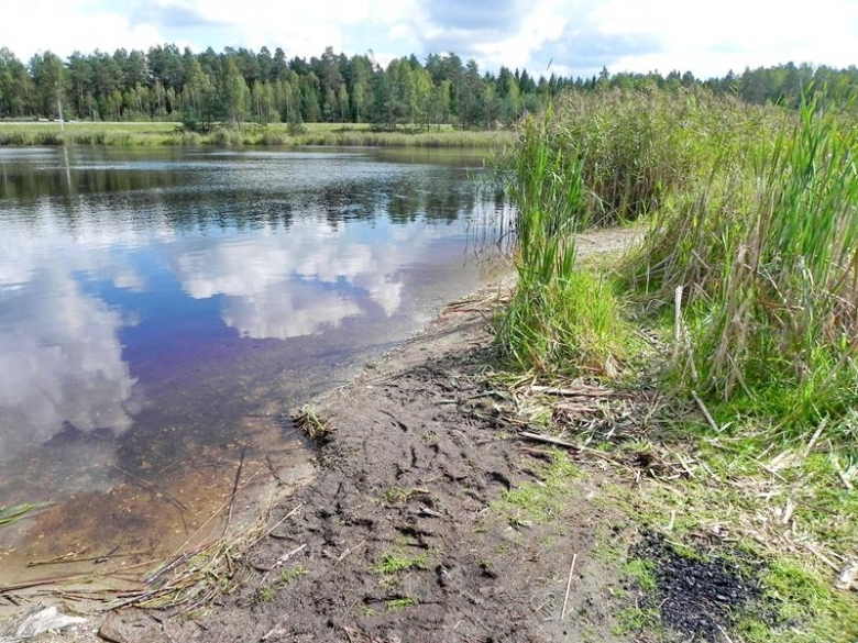 Берег озера